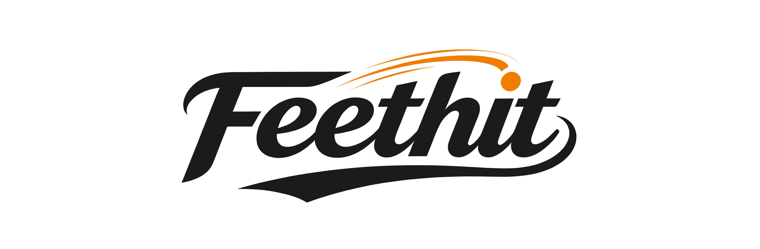 FEETHIT Running Shoes Online Store